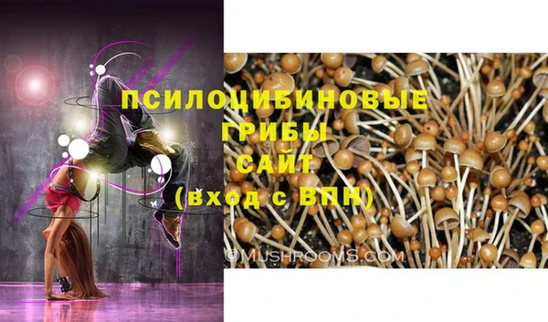 mix Армянск