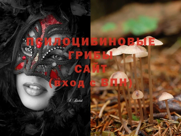 PSILOCYBIN Аркадак
