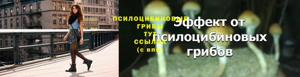 mix Армянск
