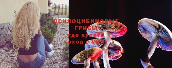 PSILOCYBIN Аркадак