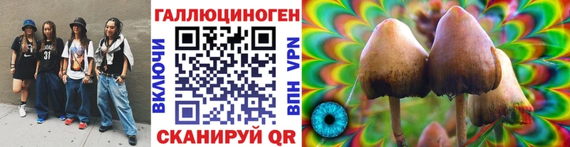 Галлюциногенные грибы MAGIC MUSHROOMS  Валдай 